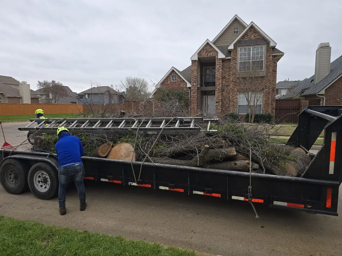 Expert Tree Fertilization with proper safety equipment in Whitesboro
